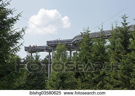 Stock Photography - "Waldwipfelweg tree top trail, Maibrunn, Bavaria, Germany, Europe". Fotosearch