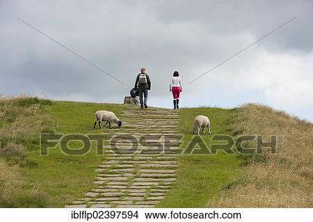 "Walkers walking past sheep, on limestone path to protect against soil erosion, Mam Tor, High Peak District, Derbyshire, England, United Kingdom, Europe" View Large Photo Image Picture - "Walkers walking past sheep, on limestone path to protect against soil erosion, Mam Tor, High Peak District, Derbyshire, England, United Kingdom, Europe". Fotosearch