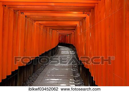 Stock Image - "Walkway made of Torii, Fushimi Inari Taisha Shinto shrine, Fushimi, Kyoto, Kinki region, Japan, Asia". Fotosearch