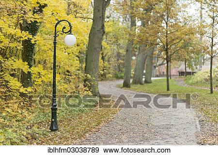 "Walkway with a lantern in a park in autumn, Insel Rugen, Ralswiek, Mecklenburg-Western Pomerania, Germany, Europe" View Large Photo Image Stock Photo - "Walkway with a lantern in a park in autumn, Insel Rugen, Ralswiek, Mecklenburg-Western Pomerania, Germany, Europe". Fotosearch