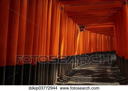 Picture - "Walkway with torii leading to the inner shrine, Fushimi Inari-taisha shinto shrine, Fushimi-ku, Kyoto, Kyoto Prefecture, Japan, Asia". Fotosearch