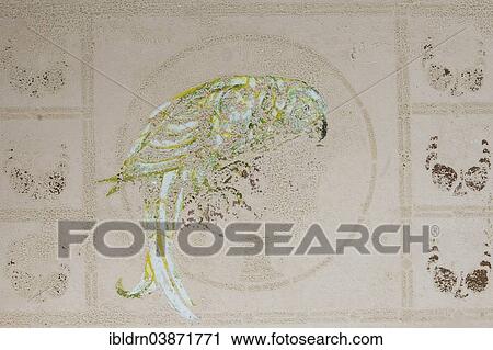 "Wall decoration in a house in a former diamond miners' town, Kolmanskop, Karas, Namibia, Africa" View Large Photo Image Stock Image - "Wall decoration in a house in a former diamond miners' town, Kolmanskop, Karas, Namibia, Africa". Fotosearch