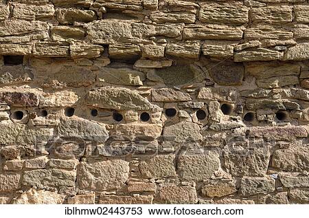 "Wall detail with openings for round support beams, historic Anasazi settlement, Aztec Ruins National Monument, Aztec, New Mexico, USA" View Large Photo Image Stock Image - "Wall detail with openings for round support beams, historic Anasazi settlement, Aztec Ruins National Monument, Aztec, New Mexico, USA". Fotosearch