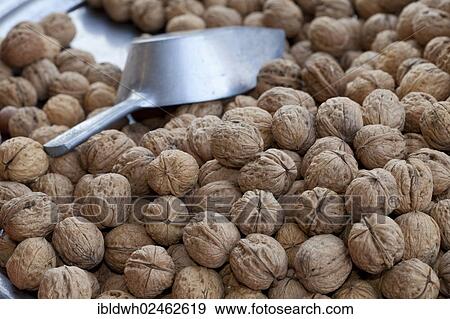 Stock Photo - "Walnuts at a market stall, Dortmund, Ruhr area, North Rhine-Westphalia, Germany, Europe, PublicGround, Europe". Fotosearch