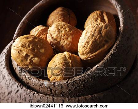 Walnuts in a bowl View Large Photo Image Stock Photograph - Walnuts in a bowl. Fotosearch