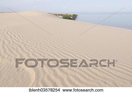 Picture - "Wandering dune, High Dune, Nida, Curonian Spit, KlaipÄ—da County, Lithuania, Europe". Fotosearch