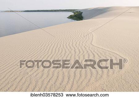 "Wandering dune, High Dune, Nida, Curonian Spit, KlaipÄ—da County, Lithuania, Europe" View Large Photo Image Stock Image - "Wandering dune, High Dune, Nida, Curonian Spit, KlaipÄ—da County, Lithuania, Europe". Fotosearch