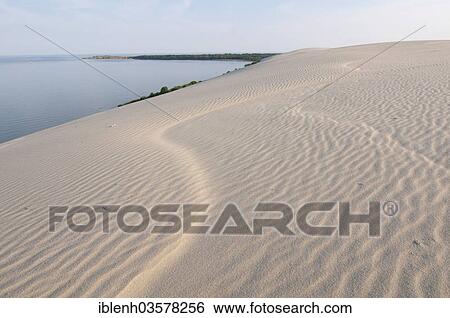 Stock Photograph - "Wandering dune, High Dune, Nida, Curonian Spit, KlaipÄ—da County, Lithuania, Europe". Fotosearch