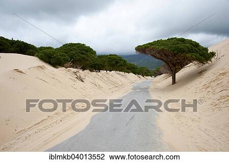 "Wandering dune of Bolonia, Tarifa, Andalusia, Spain, Europe" View Large Photo Image Stock Image - "Wandering dune of Bolonia, Tarifa, Andalusia, Spain, Europe". Fotosearch