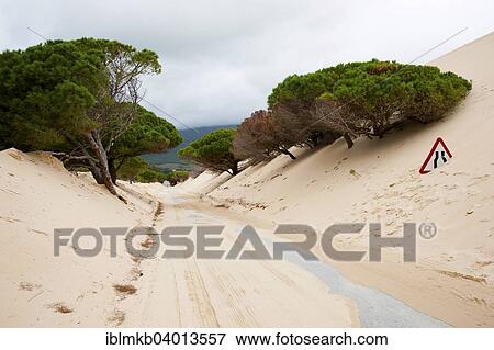 Stock Photo - "Wandering dune of Bolonia, Tarifa, Andalusia, Spain, Europe". Fotosearch