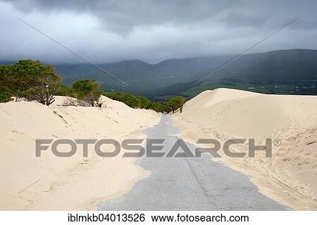 "Wandering dune of Bolonia, Tarifa, Andalusia, Spain, Europe" View Large Photo Image Stock Photograph - "Wandering dune of Bolonia, Tarifa, Andalusia, Spain, Europe". Fotosearch