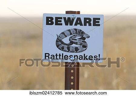Warning sign, beware of rattlesnakes, Badlands National Park, South Dakota, USA View Large Photo Image Stock Photography - Warning sign, beware of rattlesnakes, Badlands National Park, South Dakota, USA. Fotosearch