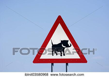 "Warning sign, caution warthogs, Hardap Region, Namibia, Africa" View Large Photo Image Stock Photo - "Warning sign, caution warthogs, Hardap Region, Namibia, Africa". Fotosearch