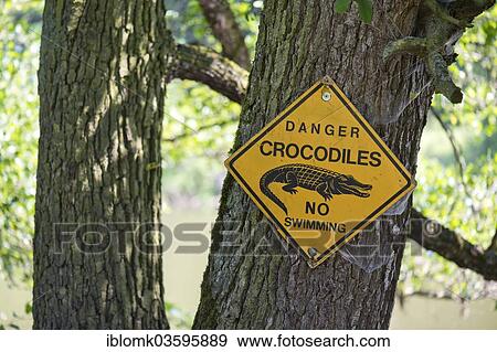 "Warning sign """"Danger crocodiles No swimming"""" on a tree, near Beilngries, Upper Bavaria, Bavaria, Germany, Europe" View Large Photo Image Stock Photo - "Warning sign """"Danger crocodiles No swimming"""" on a tree, near Beilngries, Upper Bavaria, Bavaria, Germany, Europe". Fotosearch