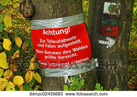 "Warning sign on a tree, traps for rabies control are set, Enzenreuth, Franconian Switzerland, Middle Franconia, Bavaria, Germany, Europe" View Large Photo Image Stock Image - "Warning sign on a tree, traps for rabies control are set, Enzenreuth, Franconian Switzerland, Middle Franconia, Bavaria, Germany, Europe". Fotosearch