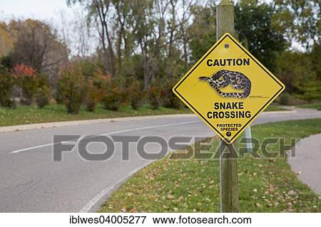 "Warning sign, snake crossing, Sterling State Park, Monroe, Michigan, United States, North America" View Large Photo Image Stock Photo - "Warning sign, snake crossing, Sterling State Park, Monroe, Michigan, United States, North America". Fotosearch