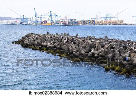 Picture - "Water breakers on the waterfront, Ave de Canarias promenade, Las Palmas, Gran Canaria, Canary Islands, Spain, Europe, PublicGround, Europe". Fotosearch