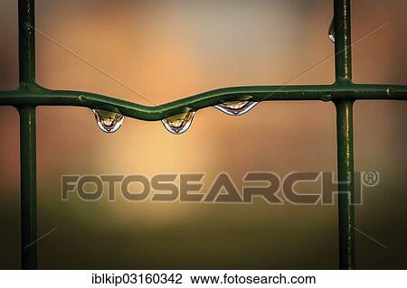 "Water drops reflecting the Eiffel Tower, close up, Paris, France, Europe" View Large Photo Image Stock Image - "Water drops reflecting the Eiffel Tower, close up, Paris, France, Europe". Fotosearch