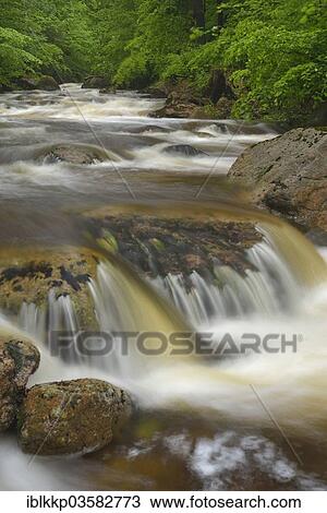 Stock Image - "Water flowing over stones and rocks in a mountain stream, course of the Ilse River, Ilsenburg, Saxony-Anhalt, Germany, Europe". Fotosearch