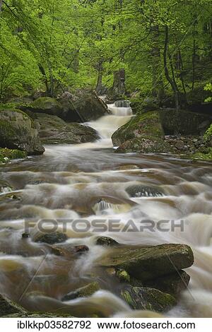 "Water flowing over stones and rocks in a mountain stream, course of the Ilse River, Ilsenburg, Saxony-Anhalt, Germany, Europe" View Large Photo Image Stock Image - "Water flowing over stones and rocks in a mountain stream, course of the Ilse River, Ilsenburg, Saxony-Anhalt, Germany, Europe". Fotosearch