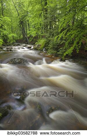 "Water flowing over stones and rocks in a mountain stream, course of the Ilse River, Ilsenburg, Saxony-Anhalt, Germany, Europe" View Large Photo Image Stock Photo - "Water flowing over stones and rocks in a mountain stream, course of the Ilse River, Ilsenburg, Saxony-Anhalt, Germany, Europe". Fotosearch