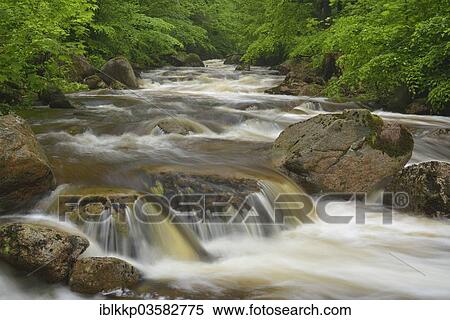 "Water flowing over stones and rocks in a mountain stream, course of the Ilse River, Ilsenburg, Saxony-Anhalt, Germany, Europe" View Large Photo Image Stock Photography - "Water flowing over stones and rocks in a mountain stream, course of the Ilse River, Ilsenburg, Saxony-Anhalt, Germany, Europe". Fotosearch