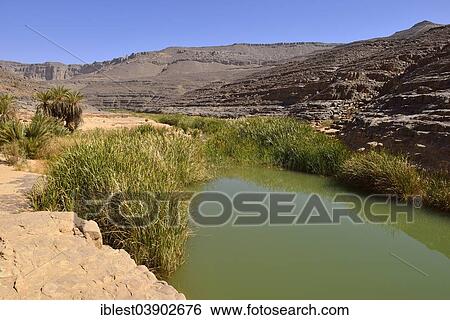 "Water in a guelta in Idaran Canyon, Iherir, Tassili n'Ajjer National Park, Unesco World Heritage Site, Sahara desert, Algeria, Africa" View Large Photo Image Stock Photograph - "Water in a guelta in Idaran Canyon, Iherir, Tassili n'Ajjer National Park, Unesco World Heritage Site, Sahara desert, Algeria, Africa". Fotosearch