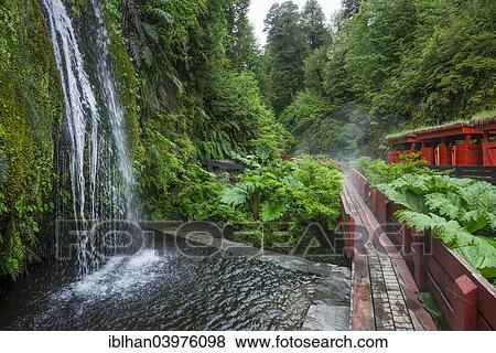 "Waterfall and cold water basin of the Termas Geometricas, Panguipulli, Region de Los Rios, Chile, South America" View Large Photo Image Stock Photo - "Waterfall and cold water basin of the Termas Geometricas, Panguipulli, Region de Los Rios, Chile, South America". Fotosearch