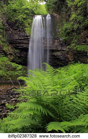 "Waterfall flowing over faulted edge of hard sandstone, Henrhyd Waterfall, Nant Llech, Brecon Beacons National Park, Powys, Wales, United Kingdom, Europe" View Large Photo Image Stock Photo - "Waterfall flowing over faulted edge of hard sandstone, Henrhyd Waterfall, Nant Llech, Brecon Beacons National Park, Powys, Wales, United Kingdom, Europe". Fotosearch