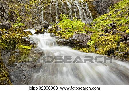"Waterfall, Hornstrandir, West Iceland, Iceland, Europe" View Large Photo Image Stock Photo - "Waterfall, Hornstrandir, West Iceland, Iceland, Europe". Fotosearch