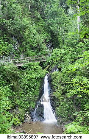 "Waterfall in the Lotenbachklamm gorge, Black Forest, Baden-Wurttemberg, Germany, Europe" View Large Photo Image Stock Photo - "Waterfall in the Lotenbachklamm gorge, Black Forest, Baden-Wurttemberg, Germany, Europe". Fotosearch