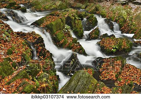 Picture - "Waterfall in the Selke River in autumn, Alexisbad, Saxony-Anhalt, Germany, Europe". Fotosearch