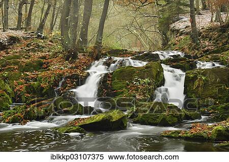 "Waterfall in the Selke River in autumn, Alexisbad, Saxony-Anhalt, Germany, Europe" View Large Photo Image Stock Photography - "Waterfall in the Selke River in autumn, Alexisbad, Saxony-Anhalt, Germany, Europe". Fotosearch