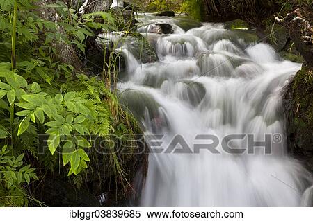 "Waterfall, Laerdal valley, Sogn og Fjordane, Norway, Europe" View Large Photo Image Stock Photography - "Waterfall, Laerdal valley, Sogn og Fjordane, Norway, Europe". Fotosearch