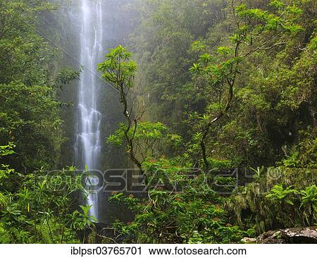 "Waterfall of a Levada, artificial watercourse, Ponta do Sol, Madeira, Portugal, Europe" View Large Photo Image Stock Image - "Waterfall of a Levada, artificial watercourse, Ponta do Sol, Madeira, Portugal, Europe". Fotosearch