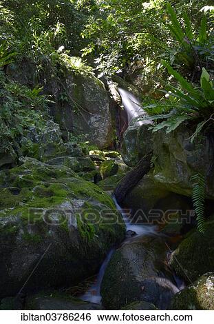 "Waterfall on Nosy Mangabe, Madagascar, Africa" View Large Photo Image Stock Photograph - "Waterfall on Nosy Mangabe, Madagascar, Africa". Fotosearch
