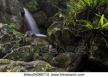 "Waterfall on Nosy Mangabe, Northeastern Madagascar, Madagascar, Africa" View Large Photo Image Picture - "Waterfall on Nosy Mangabe, Northeastern Madagascar, Madagascar, Africa". Fotosearch
