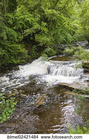 Waterfall on Taf Fechan, Brecon Beacons National Park, Powys, Wales, United Kingdom, Europe View Large Photo Image Picture - Waterfall on Taf Fechan, Brecon Beacons National Park, Powys, Wales, United Kingdom, Europe. Fotosearch