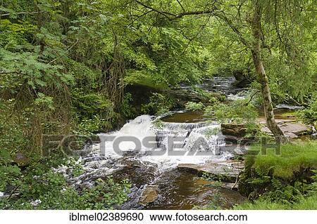 "Waterfall on Taf Fechan, Brecon Beacons National Park, Powys, Wales, United Kingdom, Europe" View Large Photo Image Stock Image - "Waterfall on Taf Fechan, Brecon Beacons National Park, Powys, Wales, United Kingdom, Europe". Fotosearch