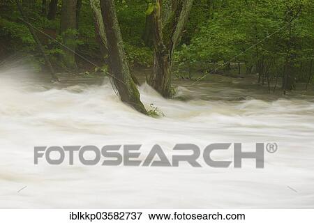 "Waterfall on the Selke River during a flood, torrential floods, Alexisbad, Saxony-Anhalt, Germany, Europe" View Large Photo Image Stock Photo - "Waterfall on the Selke River during a flood, torrential floods, Alexisbad, Saxony-Anhalt, Germany, Europe". Fotosearch