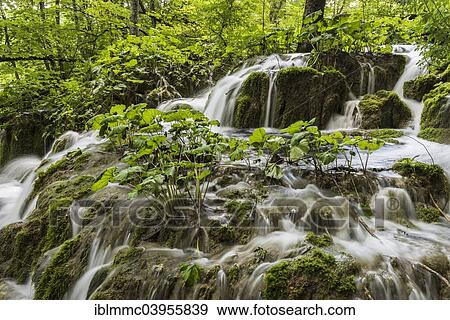 Stock Photo - "Waterfalls, Plitvice Lakes, Plitvicka Jezera, Lika-Senj, Croatia, Europe". Fotosearch