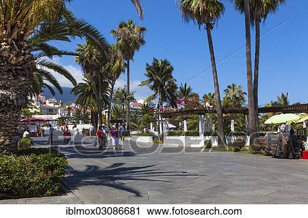 "Waterfront promenade, Puerto de la Cruz, San Telmo, Puerto De La Cruz, Tenerife, Canary Islands, Spain, Europe" View Large Photo Image Stock Image - "Waterfront promenade, Puerto de la Cruz, San Telmo, Puerto De La Cruz, Tenerife, Canary Islands, Spain, Europe". Fotosearch