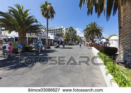 "Waterfront promenade, Puerto de la Cruz, San Telmo, Puerto De La Cruz, Tenerife, Canary Islands, Spain, Europe" View Large Photo Image Stock Photo - "Waterfront promenade, Puerto de la Cruz, San Telmo, Puerto De La Cruz, Tenerife, Canary Islands, Spain, Europe". Fotosearch