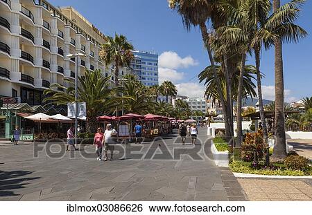 "Waterfront promenade, Puerto de la Cruz, San Telmo, Puerto De La Cruz, Tenerife, Canary Islands, Spain, Europe" View Large Photo Image Stock Photograph - "Waterfront promenade, Puerto de la Cruz, San Telmo, Puerto De La Cruz, Tenerife, Canary Islands, Spain, Europe". Fotosearch