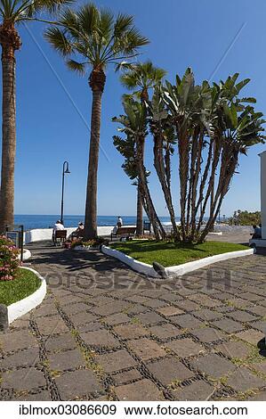 "Waterfront promenade with palm trees, Puerto de la Cruz, San Telmo, Puerto De La Cruz, Tenerife, Canary Islands, Spain, Europe" View Large Photo Image Stock Photo - "Waterfront promenade with palm trees, Puerto de la Cruz, San Telmo, Puerto De La Cruz, Tenerife, Canary Islands, Spain, Europe". Fotosearch