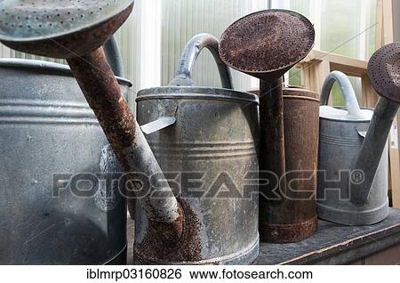 "Watering cans made of galvanized sheet metal, rusty" View Large Photo Image Stock Photograph - "Watering cans made of galvanized sheet metal, rusty". Fotosearch