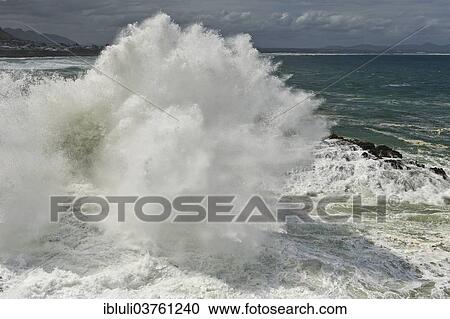 "Wave crashing on rocks, Hermanus, Western Cape, South Africa, Africa" View Large Photo Image Stock Image - "Wave crashing on rocks, Hermanus, Western Cape, South Africa, Africa". Fotosearch