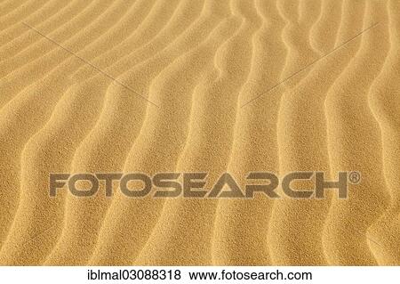 "Wave-shaped structure in the sand dunes, Risco del Paso, Fuerteventura, Canary Islands, Spain, Europe" View Large Photo Image Stock Photo - "Wave-shaped structure in the sand dunes, Risco del Paso, Fuerteventura, Canary Islands, Spain, Europe". Fotosearch