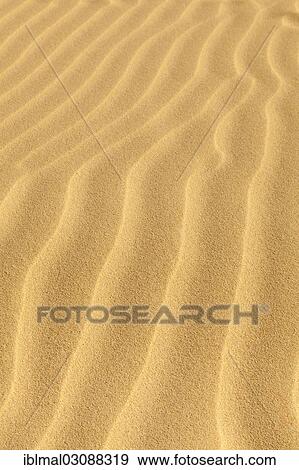 "Wave-shaped structure in the sand dunes, Risco del Paso, Fuerteventura, Canary Islands, Spain, Europe" View Large Photo Image Stock Photo - "Wave-shaped structure in the sand dunes, Risco del Paso, Fuerteventura, Canary Islands, Spain, Europe". Fotosearch