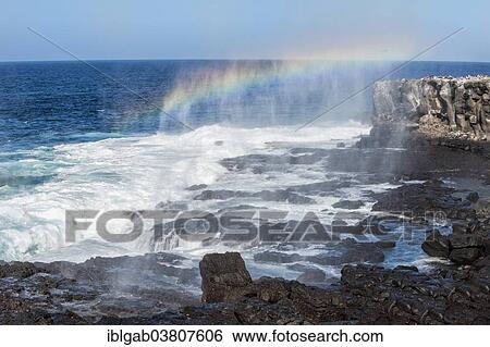 Stock Photograph - "Waves breaking on the coast of Espanola Island, Galapagos Islands, Ecuador, South America". Fotosearch